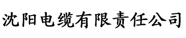 小辣椒导航污污午夜福利电缆厂logo